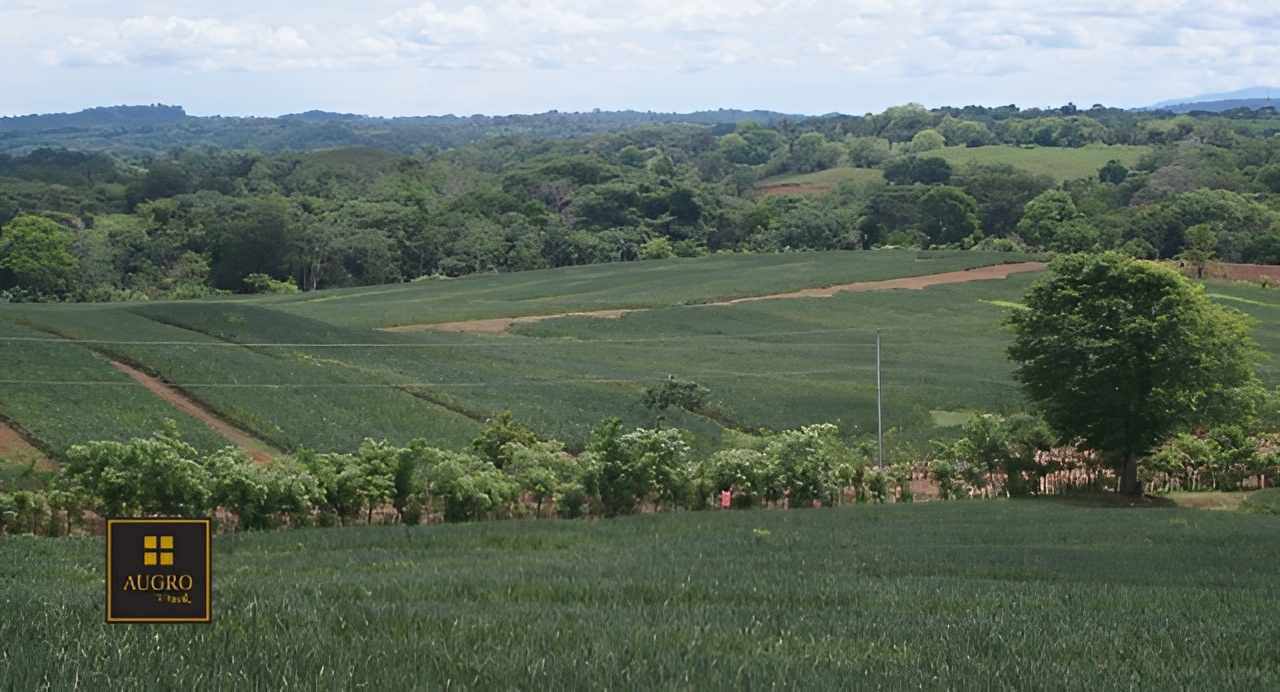 Galería 16